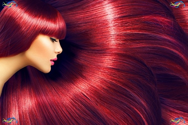 Alisamentos, Colorações e Transformações