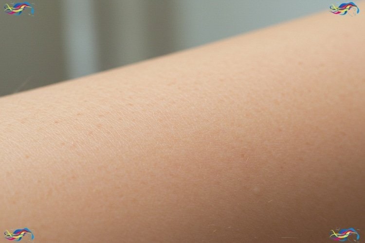 Os Melhores Cuidados Antes e Depois